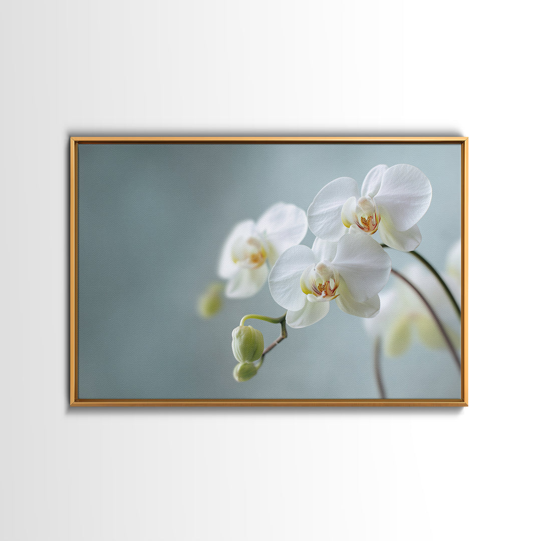 White Orchid on Light Gray Ground Canvas Print, Waiting Room Art, Digital Art Print, Waiting Room Decor, Fine Art, Calm, WRA-3x2-11