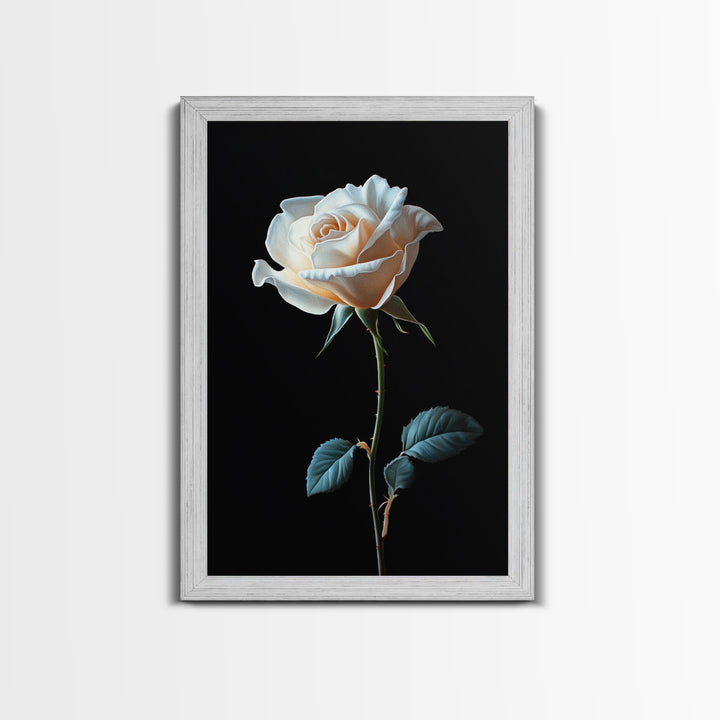 Still Life Photograph of a White Rose, Framed Canvas Print, Rose Painting, Rose Decor, Rose Wall Art, Mother's Day Gift Idea, Flower Wall Art