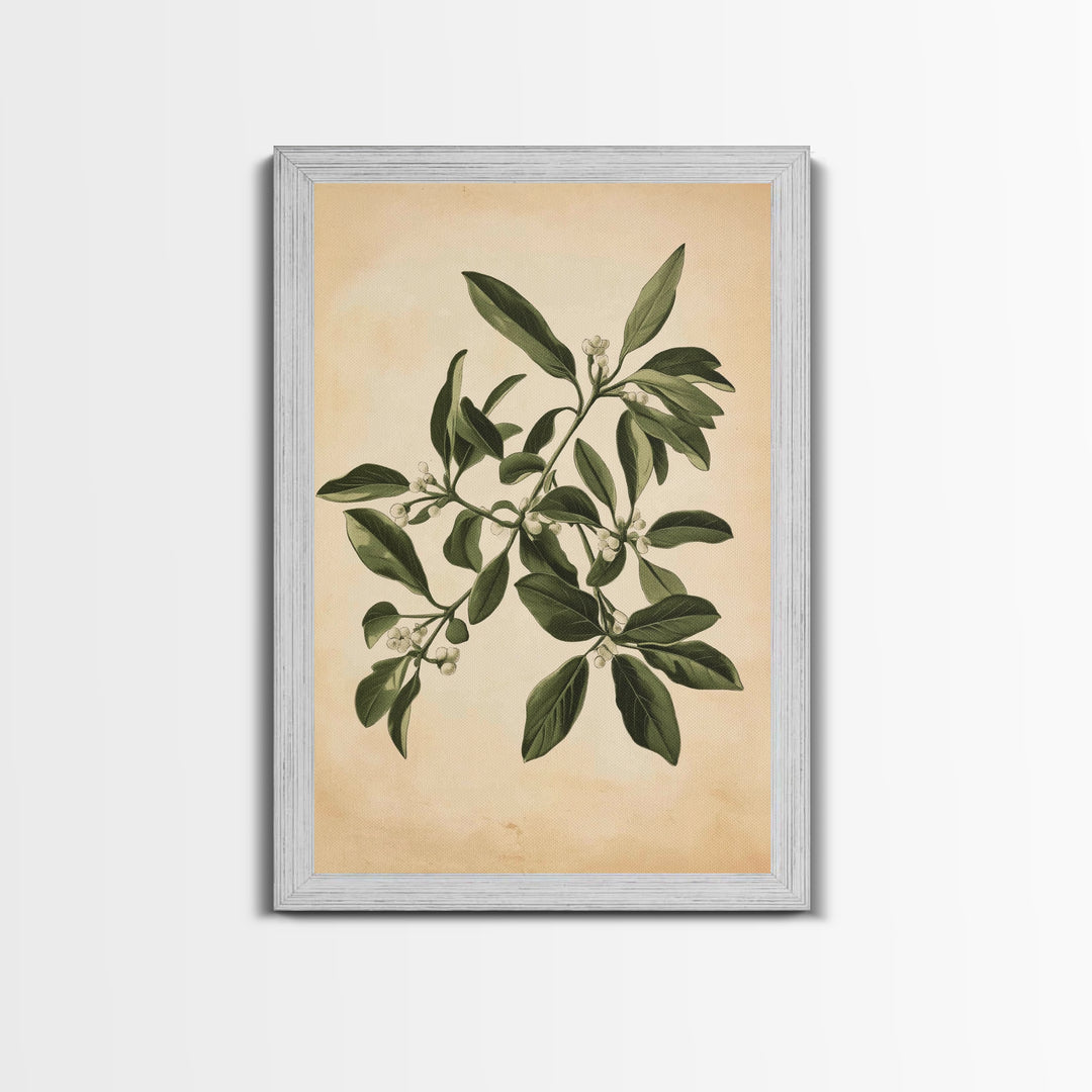 Mistletoe Canvas Print - Framed Canvas - Minimalist Christmas Art - Boho Christmas Art - Rustic Christmas Art
