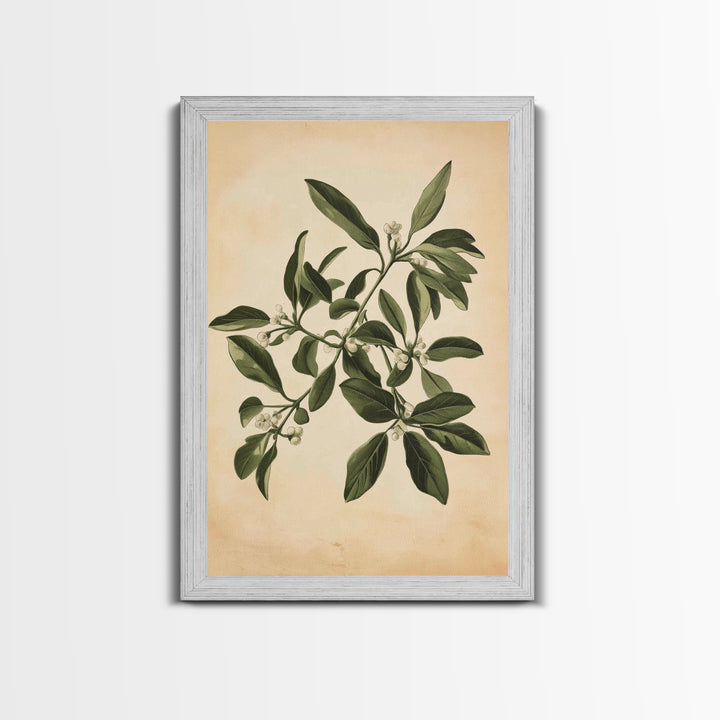 Mistletoe Canvas Print - Framed Canvas - Minimalist Christmas Art - Boho Christmas Art - Rustic Christmas Art