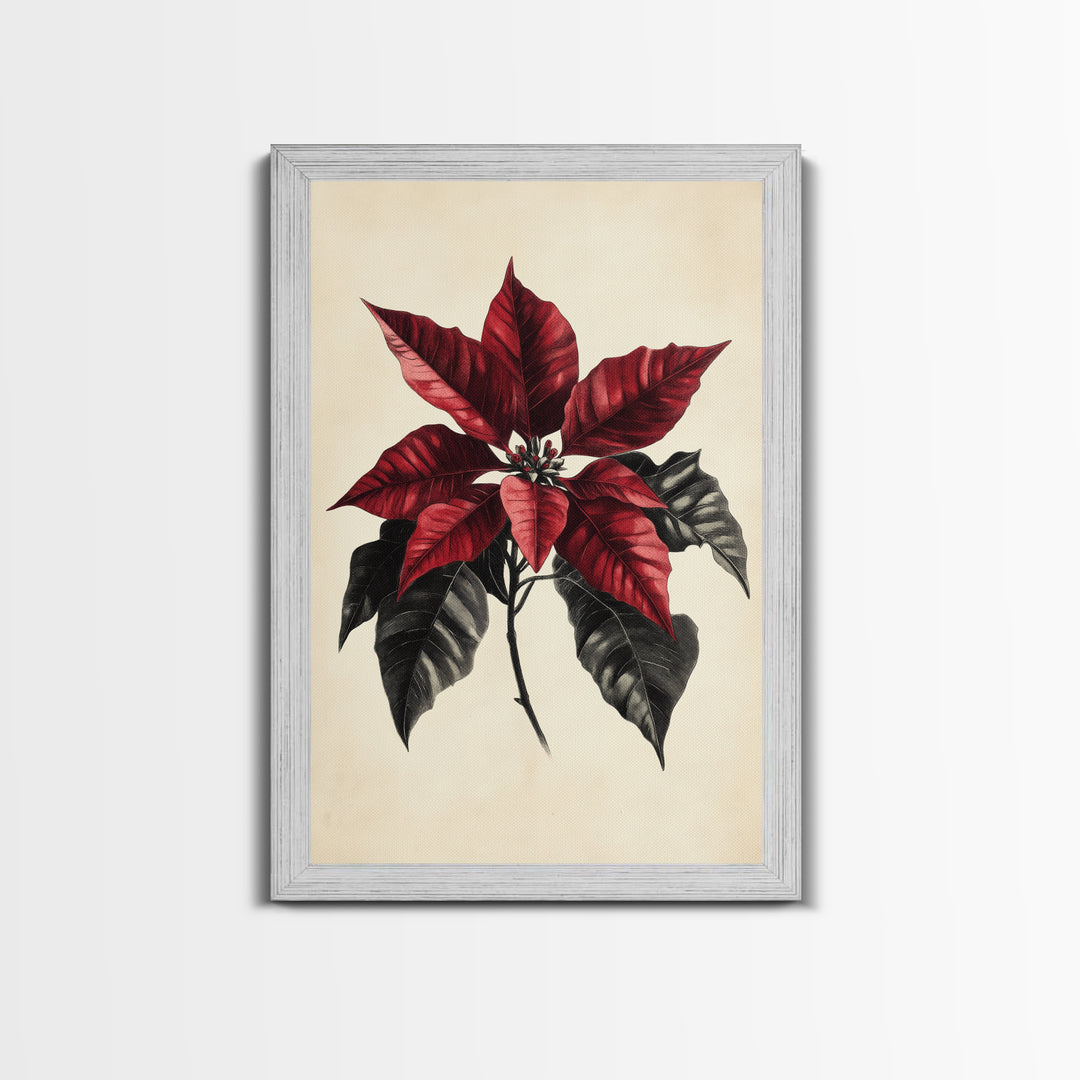 Christmas Poinsetta Canvas Print - Framed Canvas - Minimalist Christmas Art - Boho Christmas Art - Rustic Christmas Art