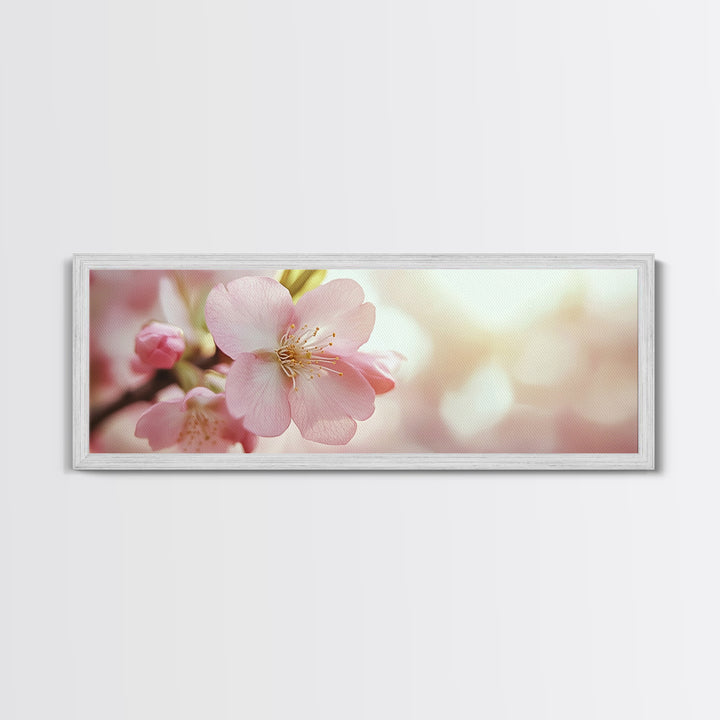 Closeup of a Cherry Blossom, Framed Canvas Print, Cherry Blossom Wall Art, Soothing Wall Art, Meditation Room Decor, Minimalist Art