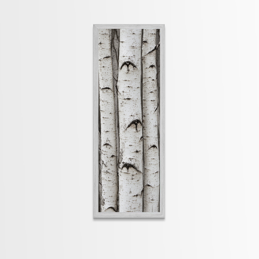 Classic Birch Trees Black and White Wall Art Framed Canvas Print Rustic Farmhouse Art Tall Narrow Art Guest Room Decor