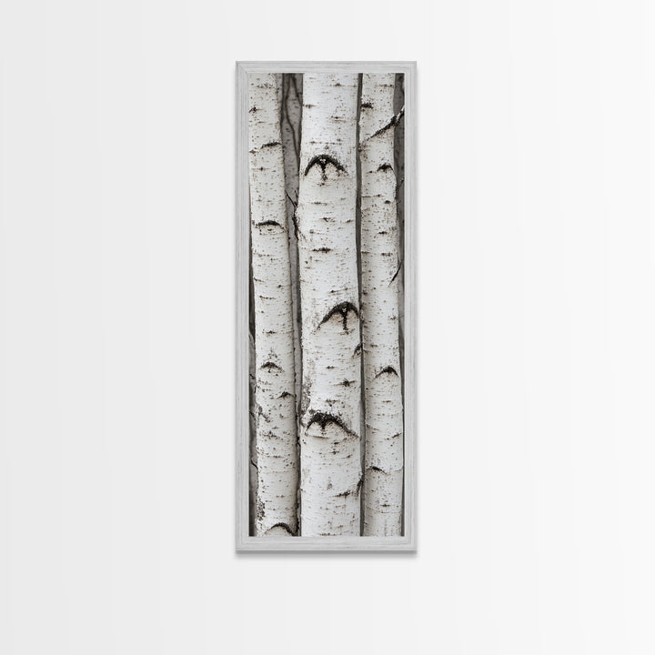 Classic Birch Trees Black and White Wall Art Framed Canvas Print Rustic Farmhouse Art Tall Narrow Art Guest Room Decor