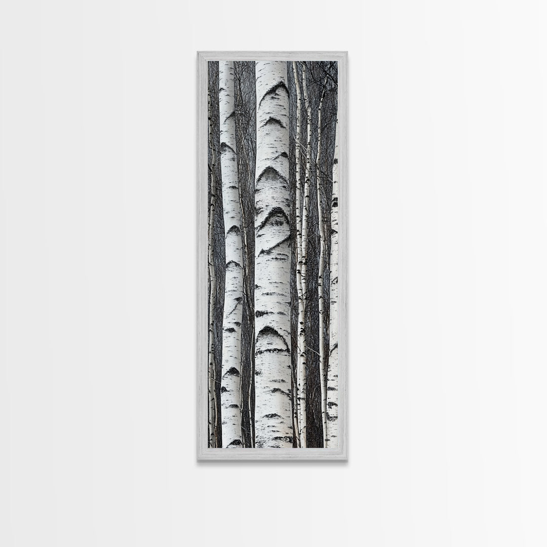 Birch Tree Forest Framed Canvas Print Rustic Nature Wall Art Farmhouse Rustic Bedroom or Living Room Decor