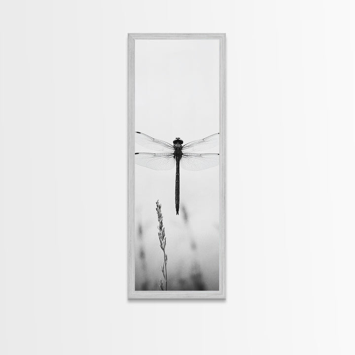 Dragonfly, Nature Wall Art, Insect Print, Minimalist Style, Canvas Print, Neutral Wall Decor, Bedroom Wall Art, Boho Botanical Insect