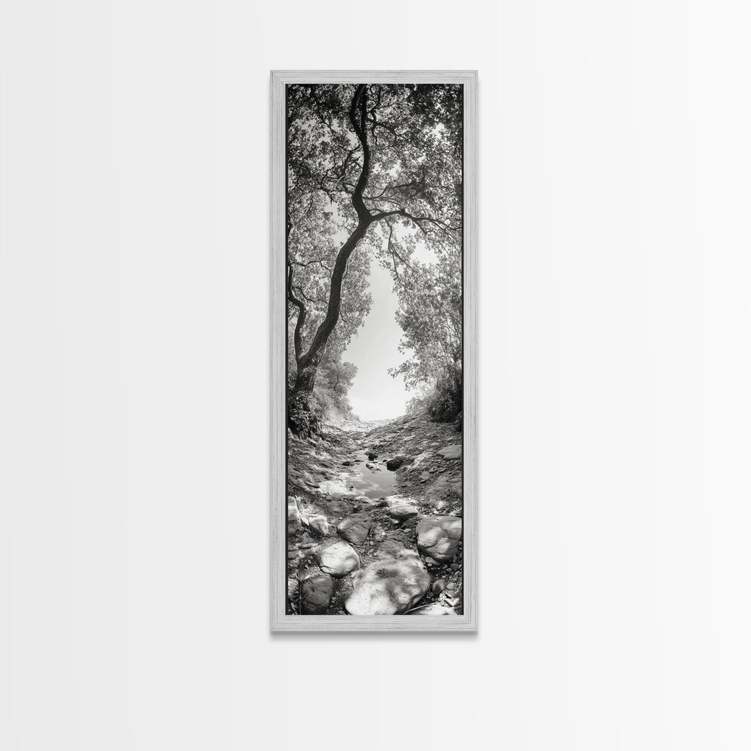 Forest Path, Rock Creek, Canopy Light, Calm Nature Scene, Canvas Print, Entryway Wall Art, Tranquil Minimalist Landscape Print