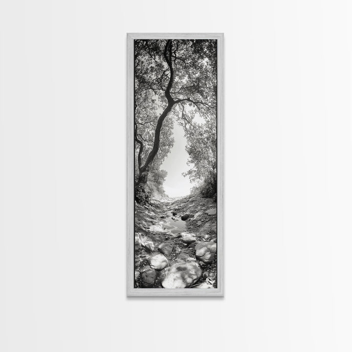 Forest Path, Rock Creek, Canopy Light, Calm Nature Scene, Canvas Print, Entryway Wall Art, Tranquil Minimalist Landscape Print
