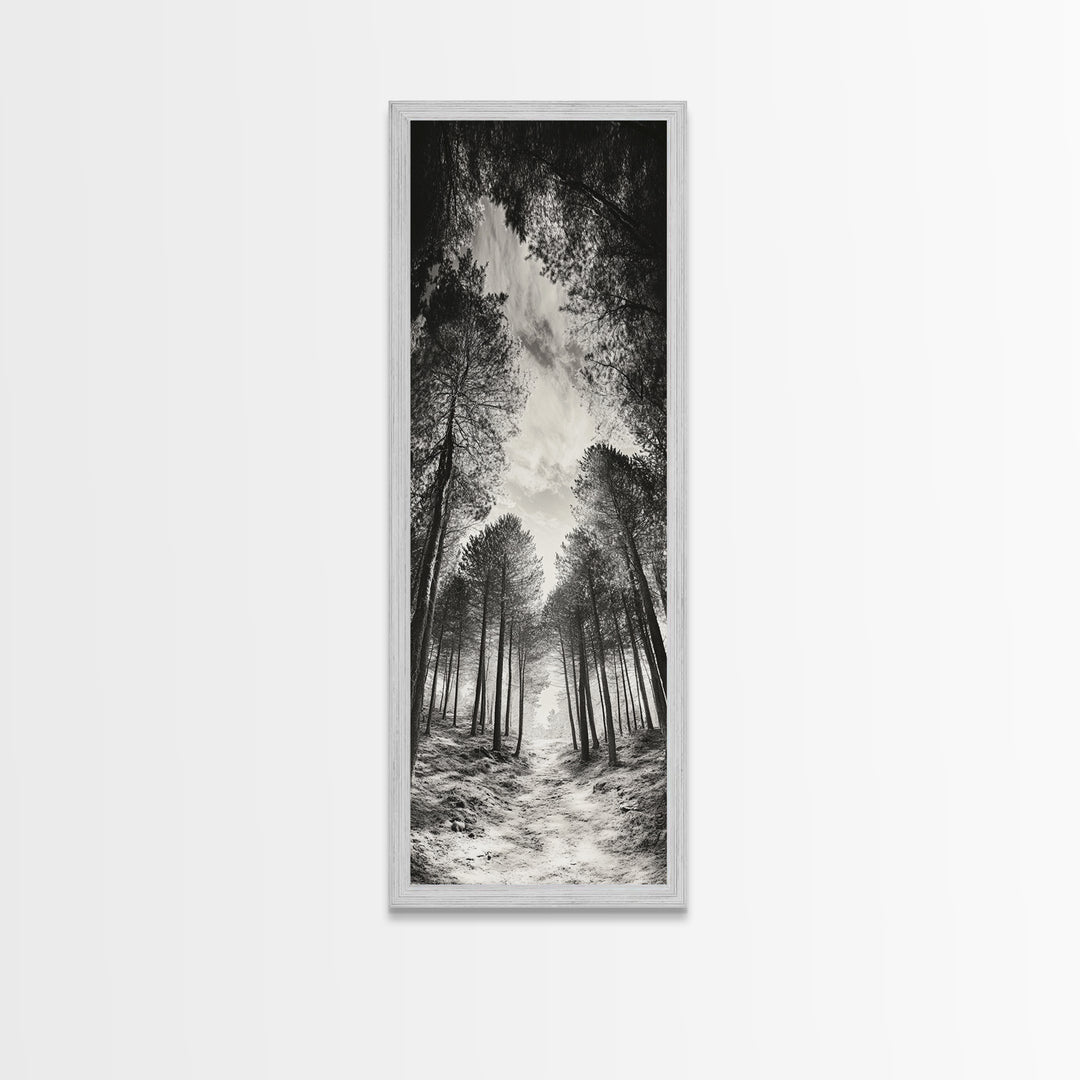 Pine Forest, Nature Path, Tree Canopy, Tranquil Woods, Canvas Print, Forest Wall Art, Minimalist Nature Decor, Meditation Room Artwork