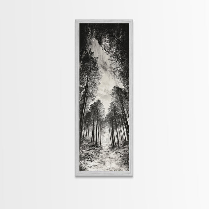 Pine Forest, Nature Path, Tree Canopy, Tranquil Woods, Canvas Print, Forest Wall Art, Minimalist Nature Decor, Meditation Room Artwork