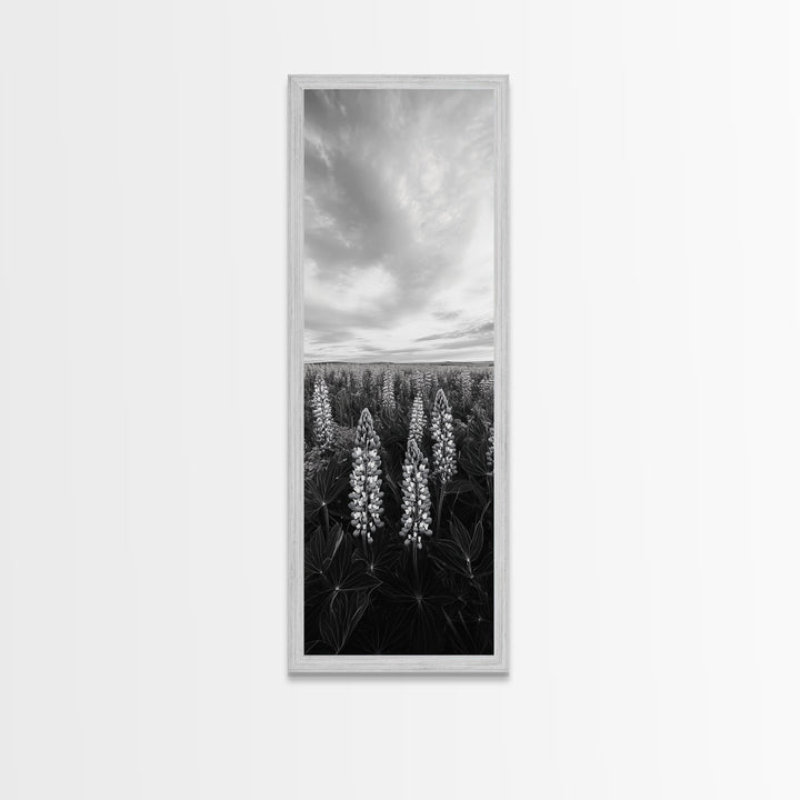 Lupine Field, Blooming Flowers, Meadow Horizon, Framed Canvas Print, Botanical Wall Art, Bedroom Decor, Nature-Inspired, Boho Floral Art
