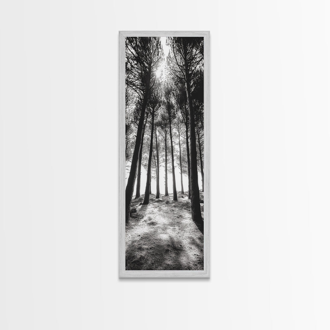 Pine Forest Glow, Woodland Landscape, Monochrome Nature, Boho Style, Framed Canvas Print, Entryway Print, Living Room Wall Art, Game Room Art