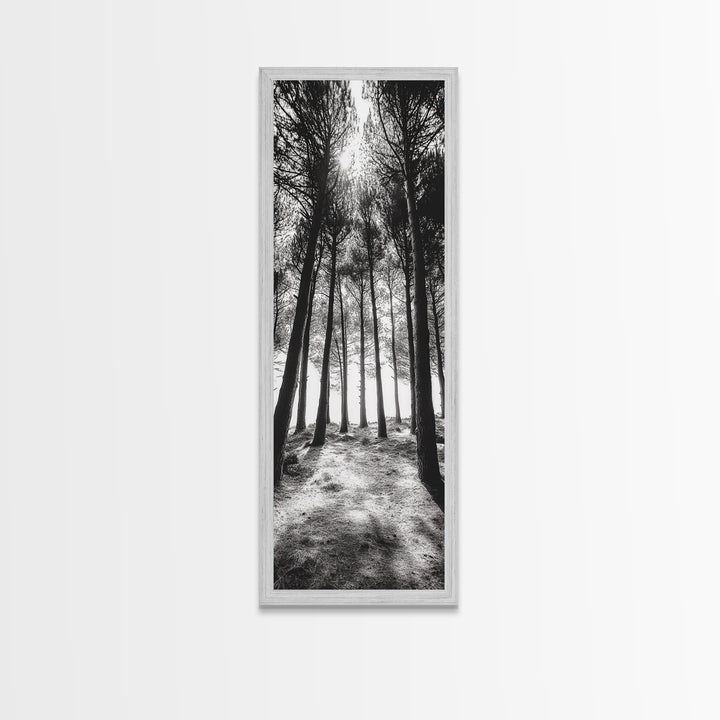 Pine Forest Glow, Woodland Landscape, Monochrome Nature, Boho Style, Framed Canvas Print, Entryway Print, Living Room Wall Art, Game Room Art