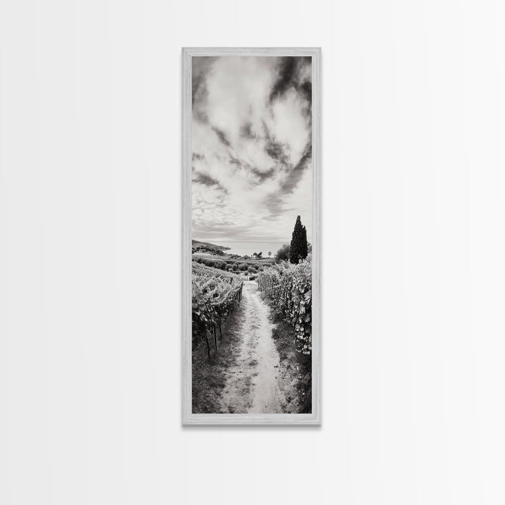 Vineyard Pathway, Scenic Hills, Countryside View, Rustic Charm, Framed Canvas Print, Farmhouse Kitchen Wall Art, Autumn Decor