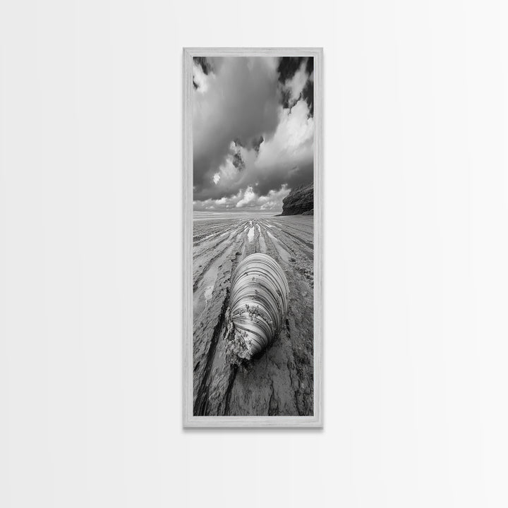 Ocean Clam, Moody Beach, Tidal Lines, Coastal Detail, Canvas Print, Nautical Bathroom Wall Art, Black and White Ocean Decor,  Den Wall Piece