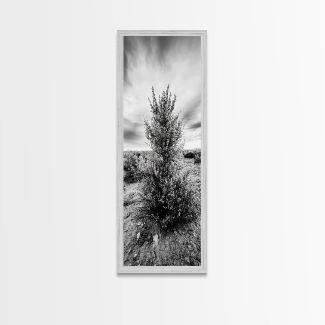 Desert Tree, Nature Minimalism, Solitary Landscape, Framed Canvas Print, Living Room Wall Art, Earth Tone Art, Tranquil Modern Decor