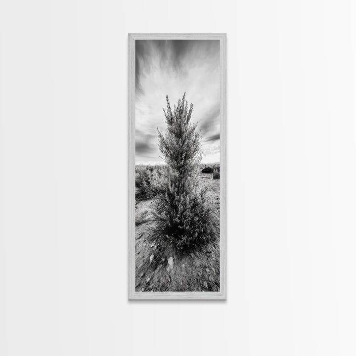 Desert Tree, Nature Minimalism, Solitary Landscape, Framed Canvas Print, Living Room Wall Art, Earth Tone Art, Tranquil Modern Decor