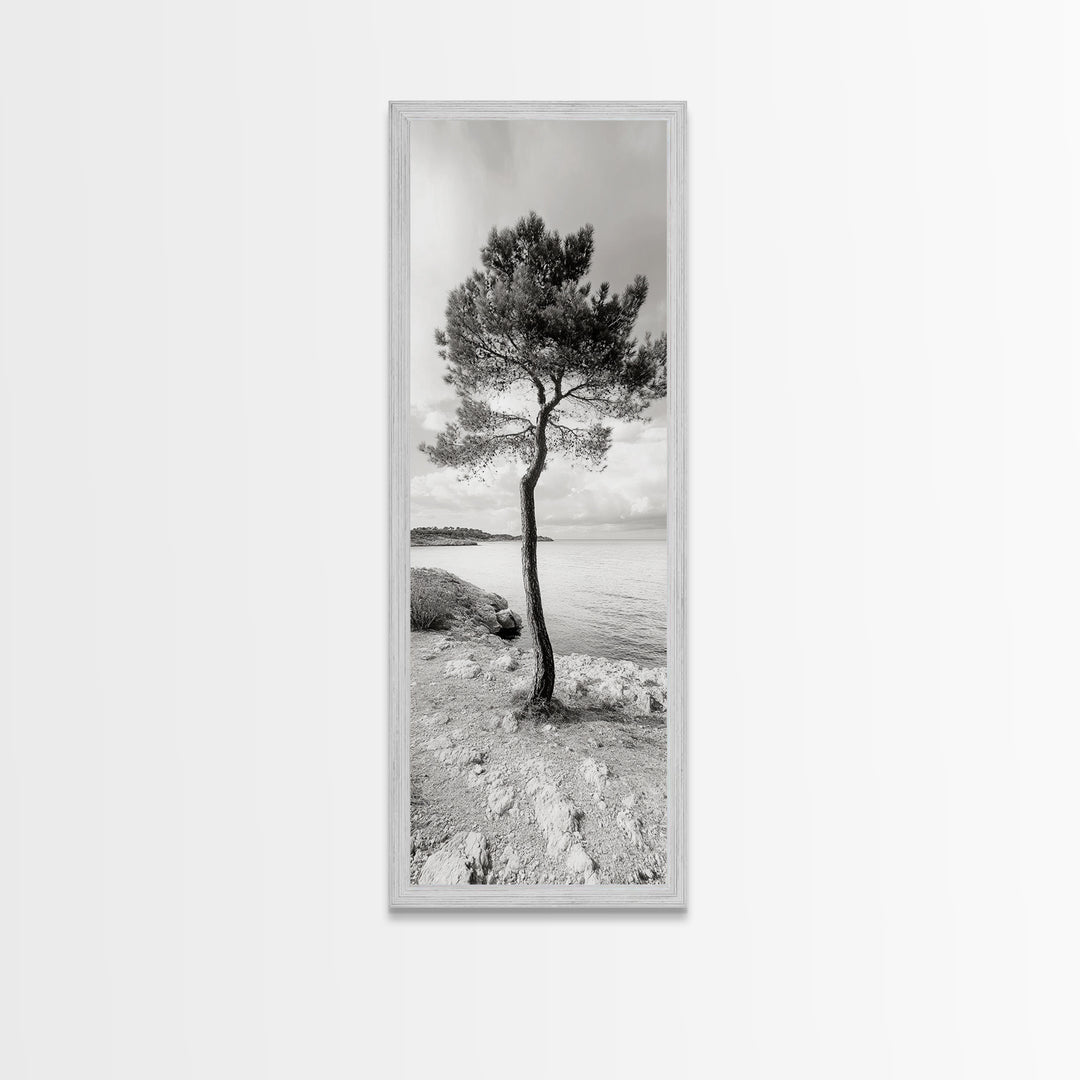 Coastal Tree, Seaside Calm, Lone Pine, Framed Canvas Print, Neutral Wall Art, Minimalist Decor, Nature Inspired Bedroom Print