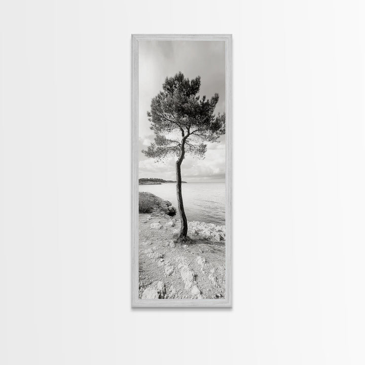 Coastal Tree, Seaside Calm, Lone Pine, Framed Canvas Print, Neutral Wall Art, Minimalist Decor, Nature Inspired Bedroom Print