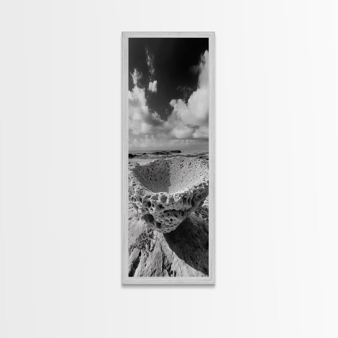 Sea Sponge, Coastal Rock, Ocean View, Canvas Print, Minimalist Nature Photography, Bathroom Wall Art, Black and White Ocean Decor