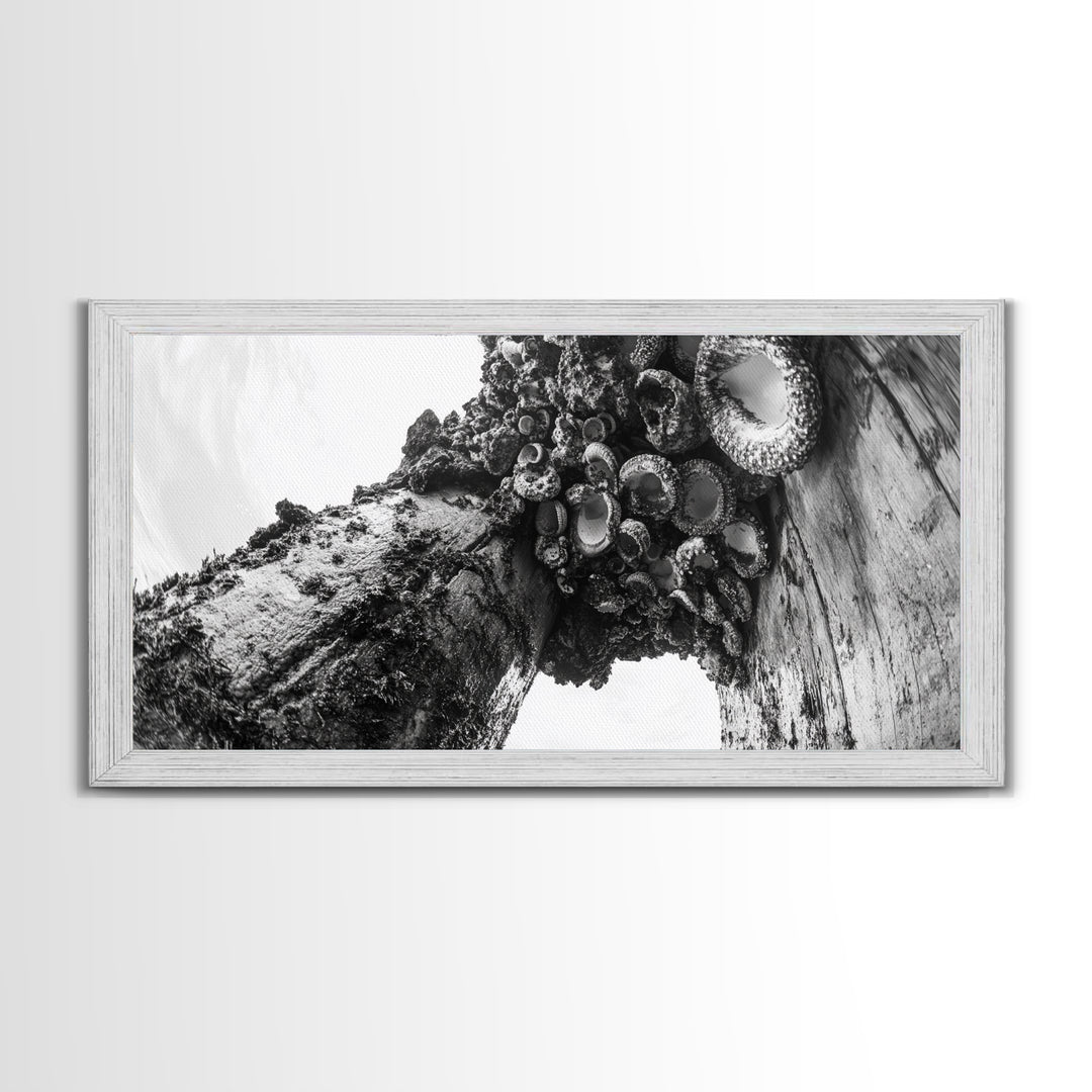 Coastal Texture, Tidepool Abstract, Modern Ocean Nature, Framed Canvas Print, Bathroom Wall Art, Marine Minimalist Photography