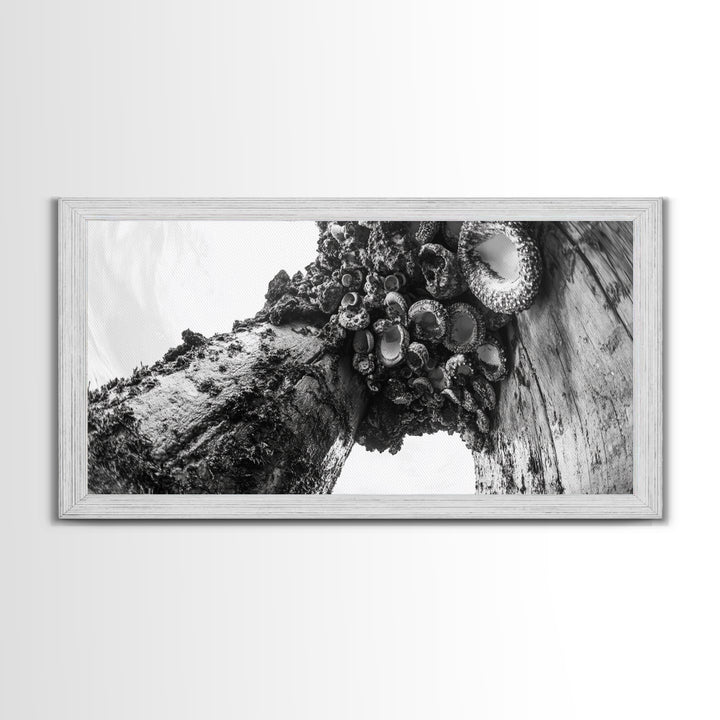 Coastal Texture, Tidepool Abstract, Modern Ocean Nature, Framed Canvas Print, Bathroom Wall Art, Marine Minimalist Photography