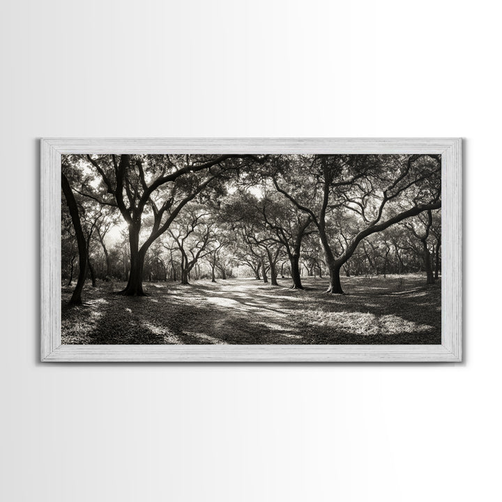Oak Tree Path, Autumn Forest Glow, Nature Trail Photography, Framed Canvas Print, Hallway Wall Art, Earthy Decor, Woodland Art