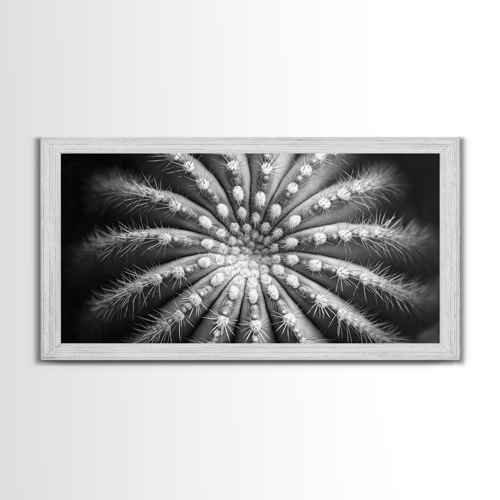 Cactus Spiral, Desert Bloom, Nature Closeup, Modern Decor, Framed Canvas Print, Minimalist Botanical Art, Office Wall Art, Succulent Texture