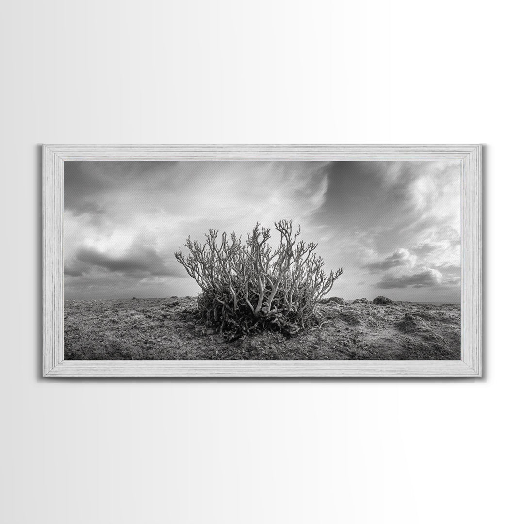 Desert Coral Plant, Dry Earth Botanical, Surreal Nature Texture, Minimal Wild Scene, Canvas Print, Office Wall Art, Earthy Decor