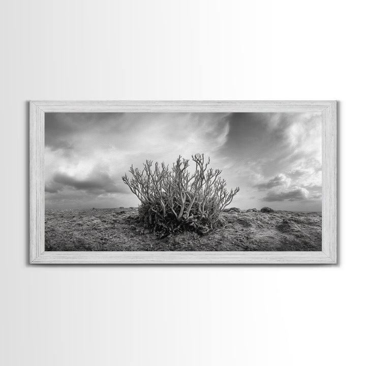 Desert Coral Plant, Dry Earth Botanical, Surreal Nature Texture, Minimal Wild Scene, Canvas Print, Office Wall Art, Earthy Decor