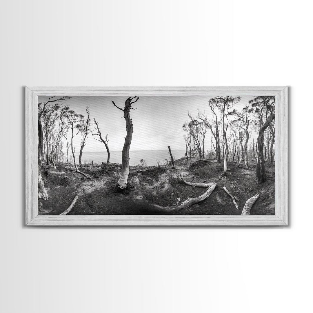 Burnt Forest, Moody Trees, Coastal Landscape, Nature Scene, Framed Canvas Print, Rustic Wall Art, Boho Decor, Fall Home Aesthetic