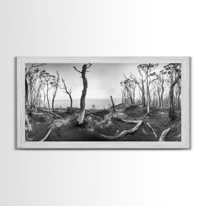 Burnt Forest, Moody Trees, Coastal Landscape, Nature Scene, Framed Canvas Print, Rustic Wall Art, Boho Decor, Fall Home Aesthetic