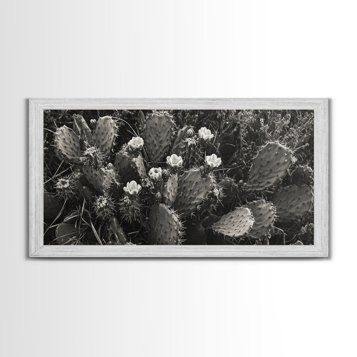 Cactus Blooms, Desert Flowers, Prickly Pear, Nature Closeup, Framed Canvas Print, Southwestern Art, Kitchen Wall Art, Boho Style