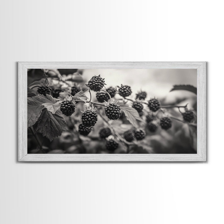 Blackberries on Vine, Farmhouse Kitchen Art, Rustic Fruit Wall Decor, Country Style, Autumn Botanical Photography, Canvas Print