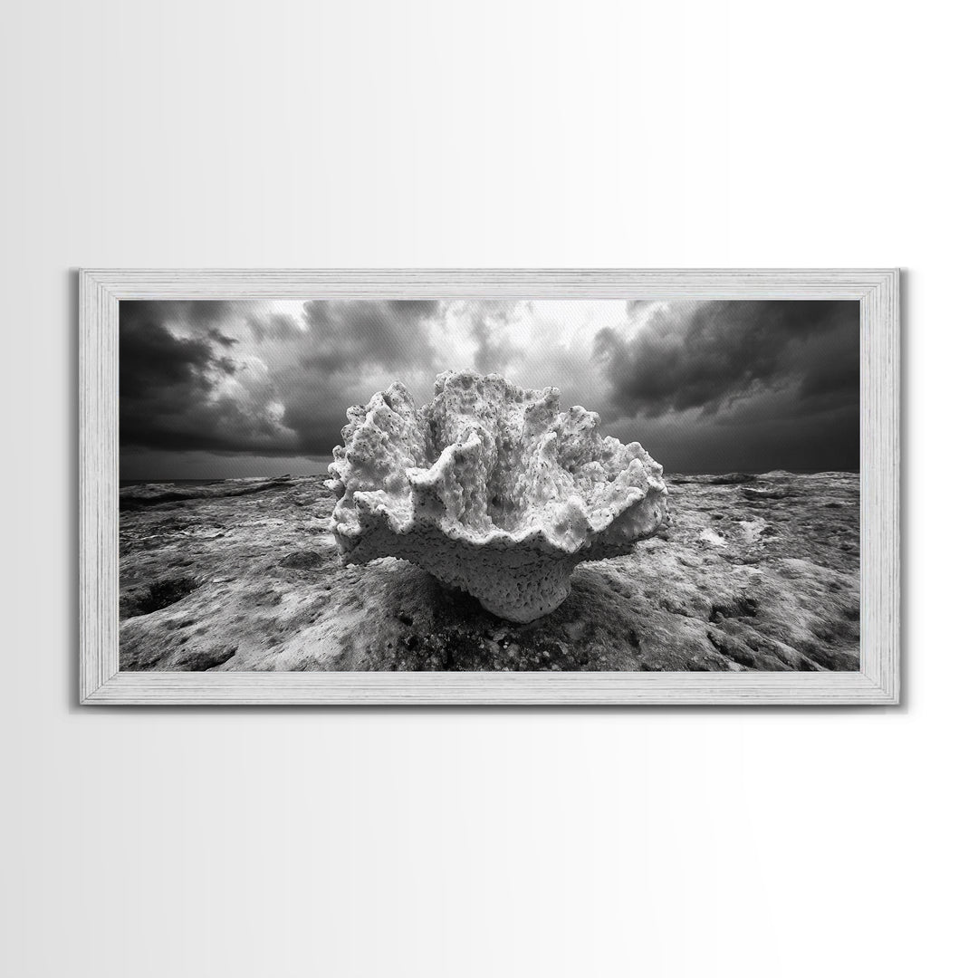 Coral Texture, Ocean Storm, Dramatic Sky, Sea Fossil, Framed Canvas Print, Coastal Nature Art, Fall Entryway Wall Decor, Cabin Wall Art