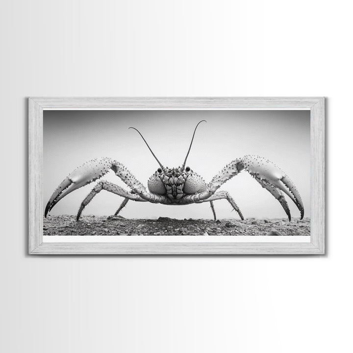 Crab Art, Beach Creature, Monochrome Photography, Nature Close-Up, Framed Canvas Print, Coastal Bathroom Art, Marine Home Style