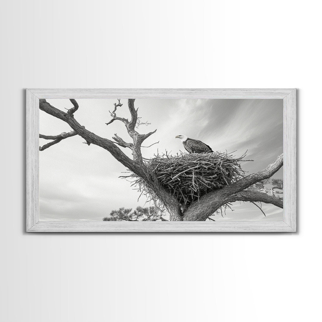 Bald Eagle Nest, Wildlife Nature Art, Rustic Cabin Decor, Framed Canvas Print, Patriotic Office Wall Art, Woodland Photography