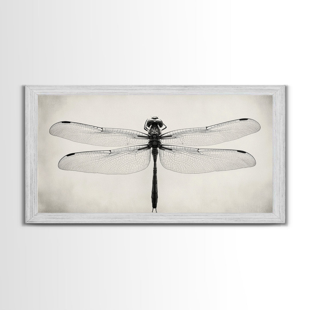 Dragonfly Sketch, Insect Art Print, Botanical Illustration, Minimalist Natural History, Framed Canvas Print, Office or Study Wall Art