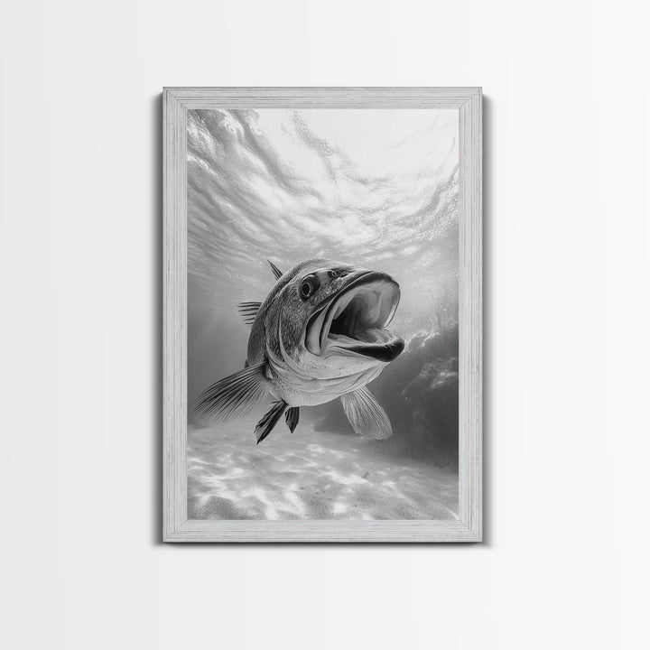 Underwater Fish, Ocean Predator, Aquatic Wildlife, Canvas Print, Bathroom Wall Art, Coastal Nautical Decor, Marine Photography