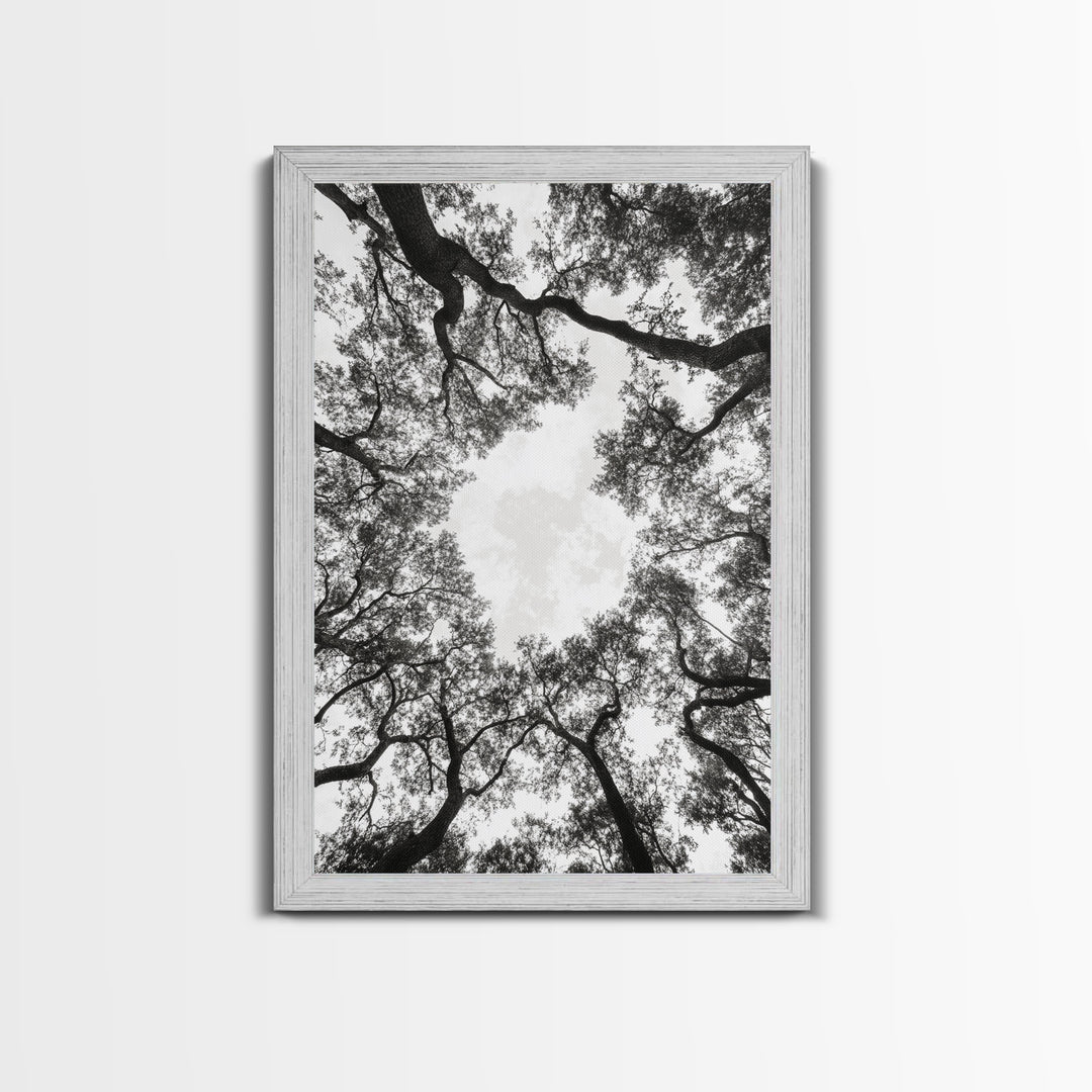 Forest Canopy View, Tree Tops Art, Nature Sky Print, Framed Canvas Print, Bedroom Wall Art, Minimalist Nature, Modern Rustic Decor