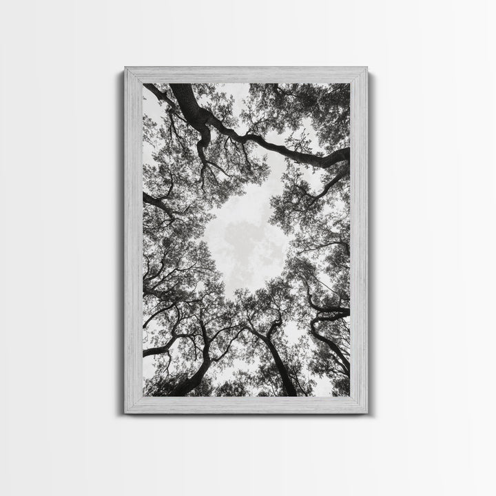 Forest Canopy View, Tree Tops Art, Nature Sky Print, Framed Canvas Print, Bedroom Wall Art, Minimalist Nature, Modern Rustic Decor