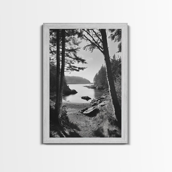 Woodland Cove Path, Tranquil Forest Scene, Nature Escape Art, Canvas Print, Cabin Wall Art, Coastal Boho Decor, Black White Landscape