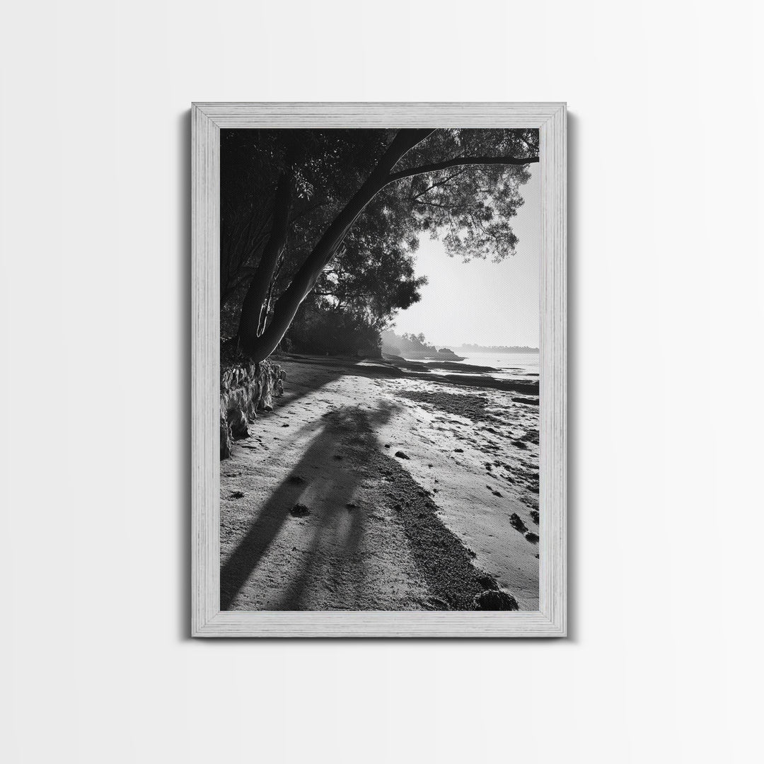 Coastal Shadows Path, Black and White Landscape, Framed Canvas Print, Entryway Art, Calm Nature Scene, Moody Coastal Wall Decor