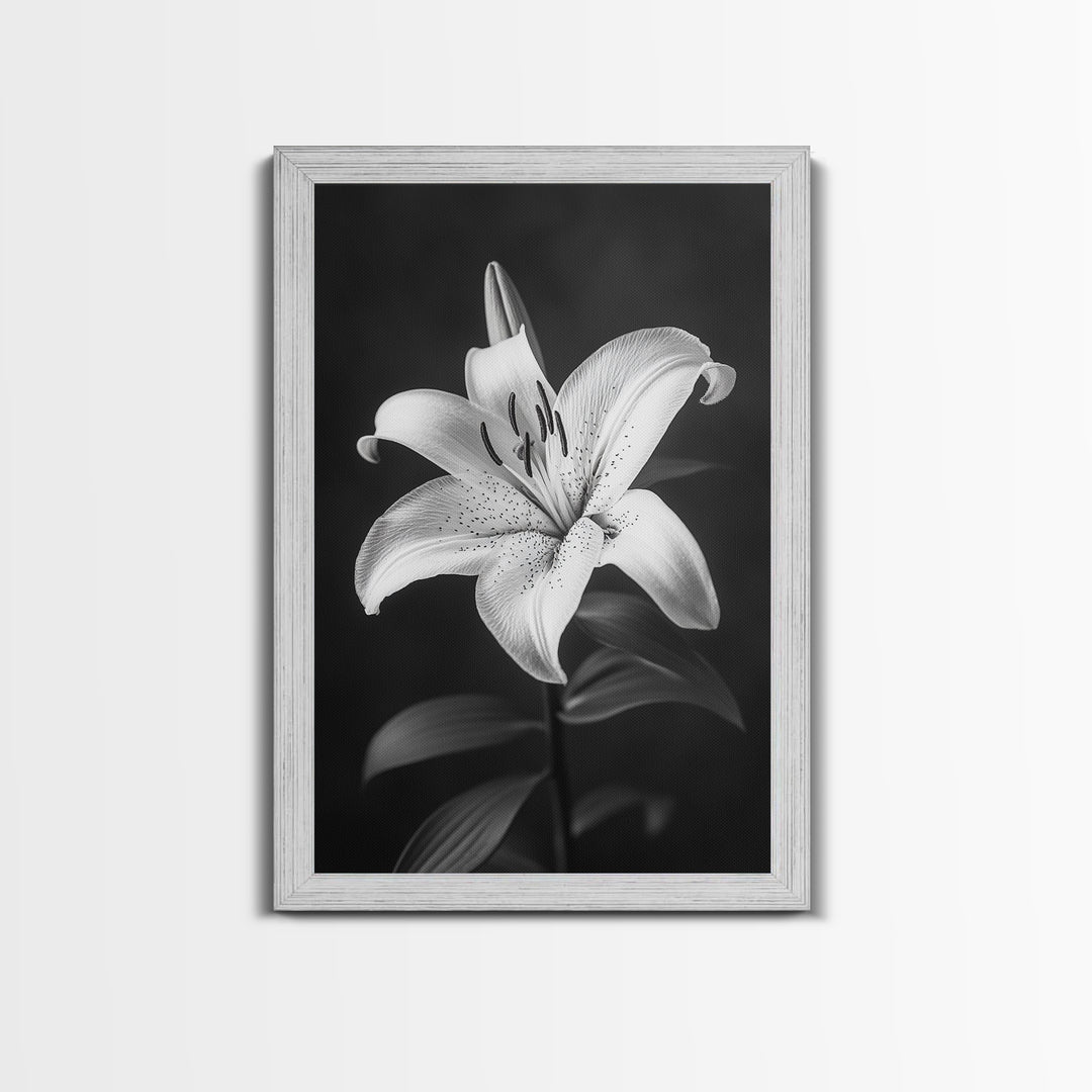 Elegant Lily, Black and White, Floral Beauty, Canvas Print, Botanical Wall Art, Minimalist Art, Bedroom Wall Decor, Nature Photography