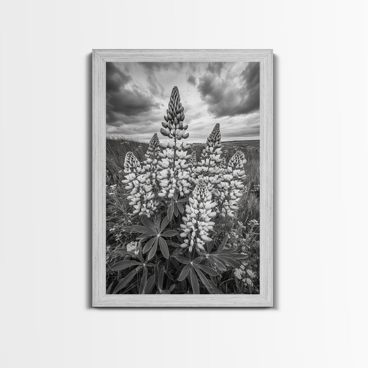 Lupine Flower Field, Bold Floral, Spring Nature Scene, Framed Canvas Print, Boho Living Room Art, Botanical Wall Decor