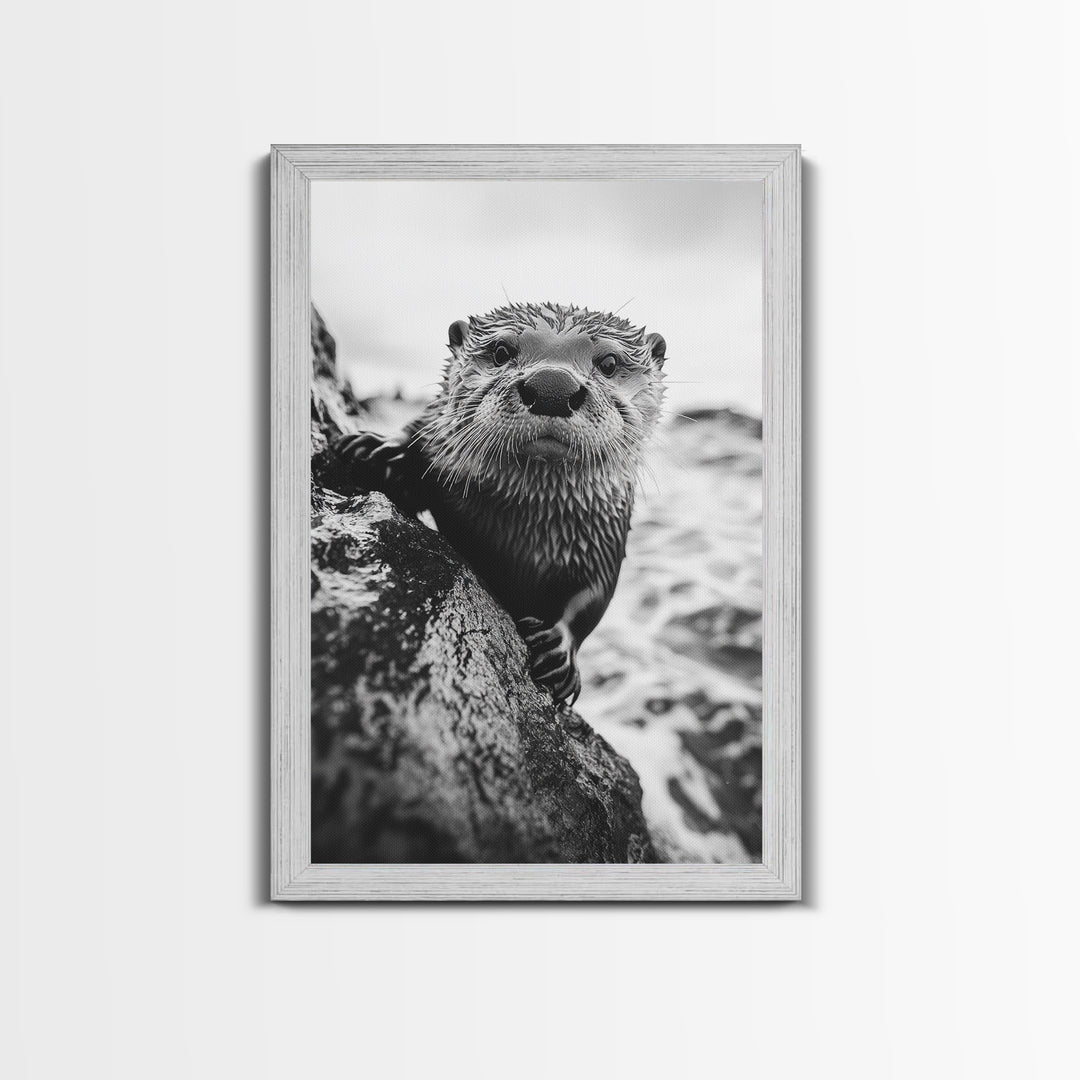 Curious Otter, Coastal Wildlife, Black and White, Animal Photography, Framed Canvas Print, Bathroom Wall Art, Nature Lover Gift