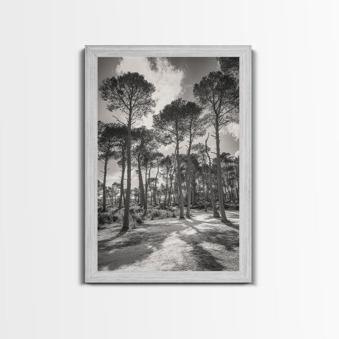 Forest Shadows, Tall Pines, Natural Light, Framed Canvas Print, woodland landscape, rustic cabin decor, autumn forest art