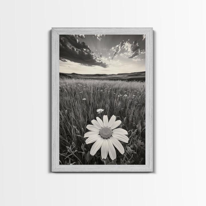 Wildflower Field, Daisy Bloom, Summer Meadow, Framed Canvas Print, Boho Botanical Wall Art, Bedroom Decor, Earthy Nature Photography