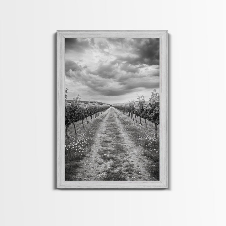 Vineyard Rows, Cloudy Skies, Countryside Path, Canvas Print, Farmhouse Wall Art, Kitchen or Dining Decor, Rustic Landscape Photo