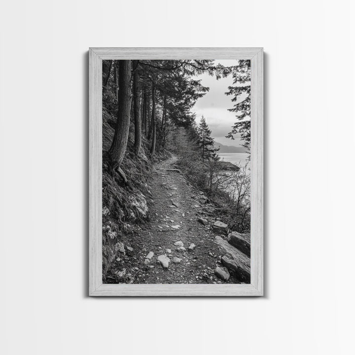 Forest Pathway Trail, Wilderness Escape, Rustic Nature, Black and White Framed Canvas Print, Cozy Cabin or Entryway Wall Art